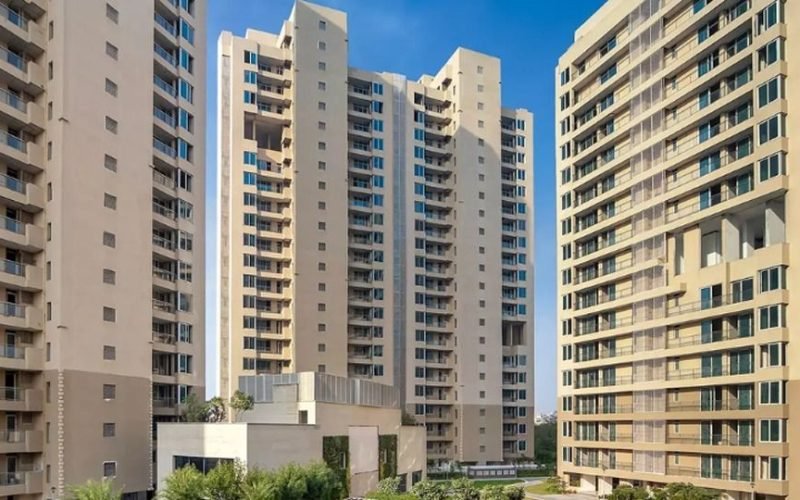 Prestige glenbrook5