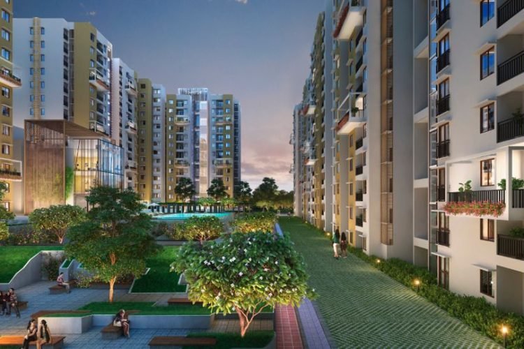 Purva Zenium1