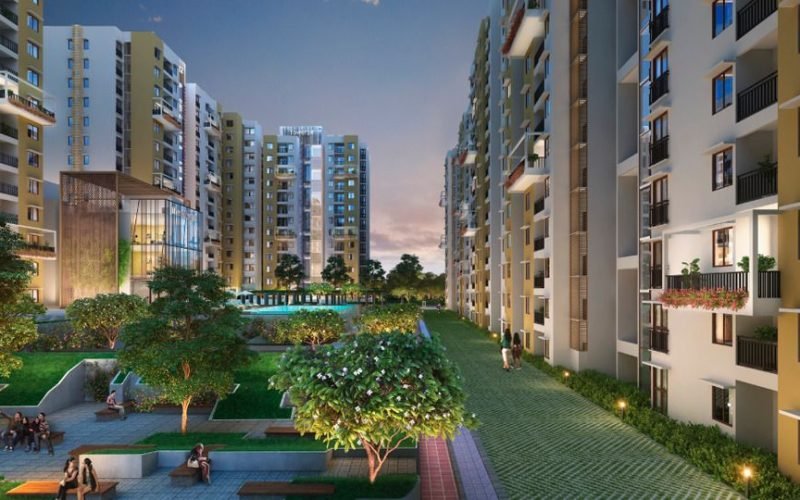 Purva Zenium1