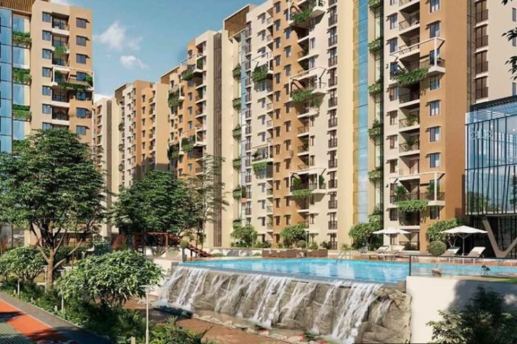 Purva Zenium2
