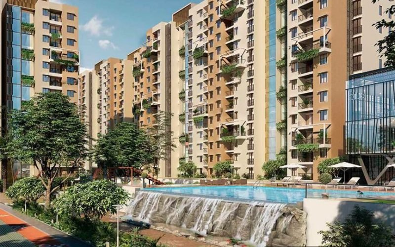 Purva Zenium2
