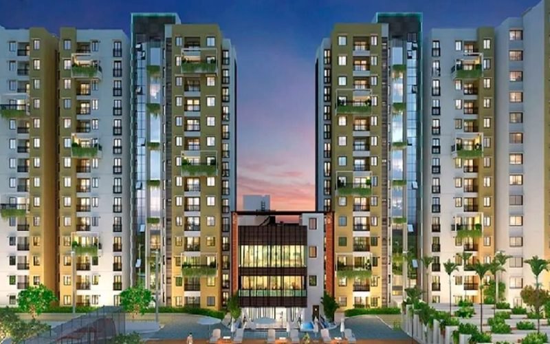 Purva Zenium4