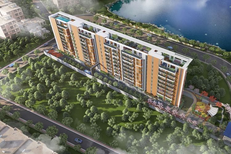 Purva meraki1