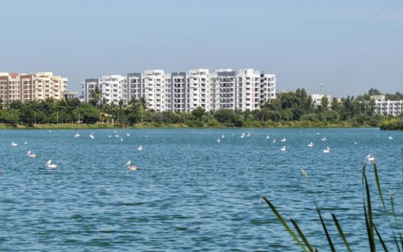 Purva meraki2