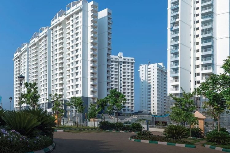 Purva promenade2