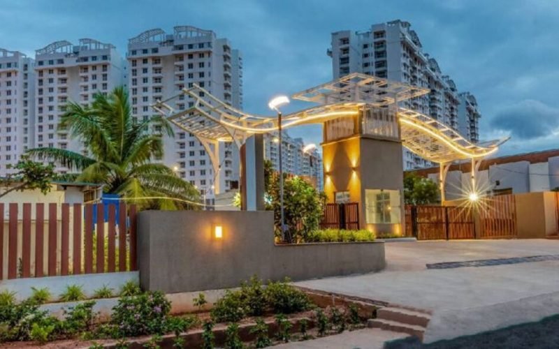 Purva promenade3