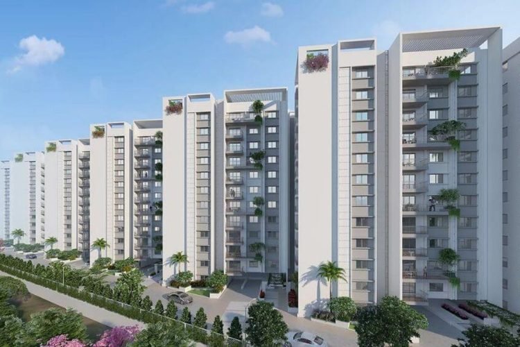 Spectra Parijatha4
