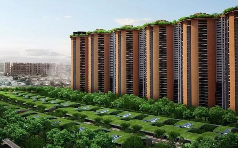 Total Environment, Whitefield4