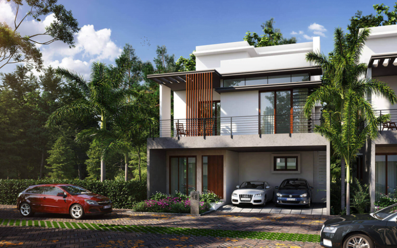 mana Daintree3