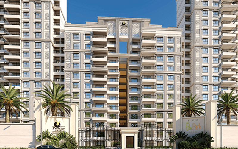 prestige elm 4